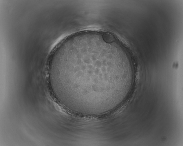 X0000114641400200911101248