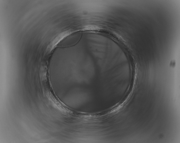 X0000114641401200911101248
