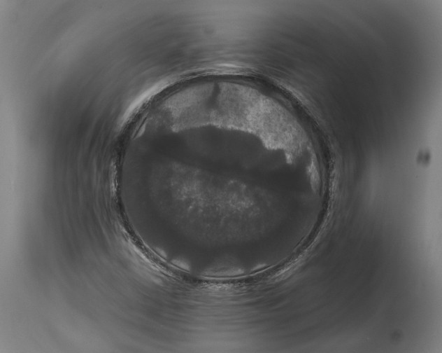 X0000114641402200911101248
