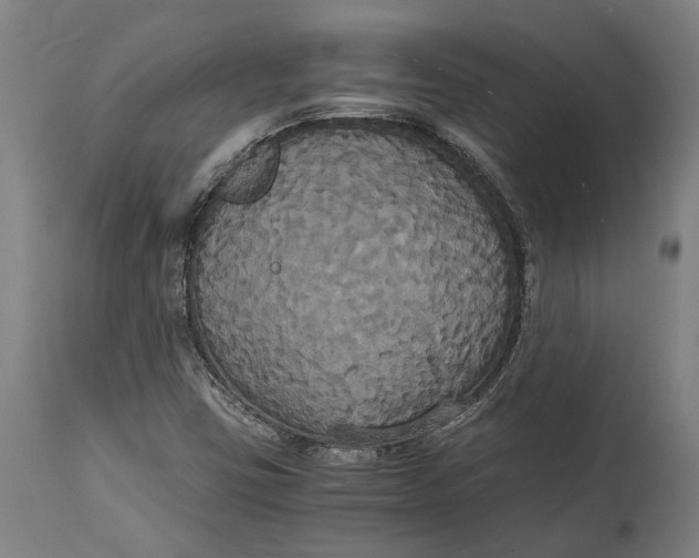 X0000114641403200911101248