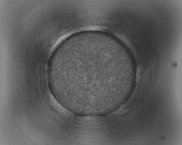 X0000114641404200911101248