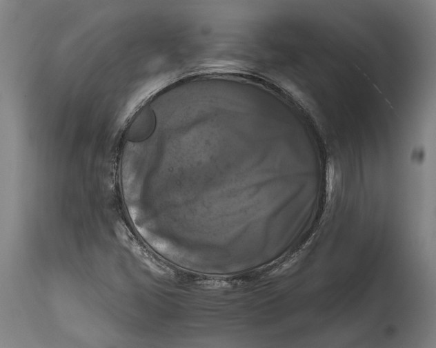 X0000114641405200911101248