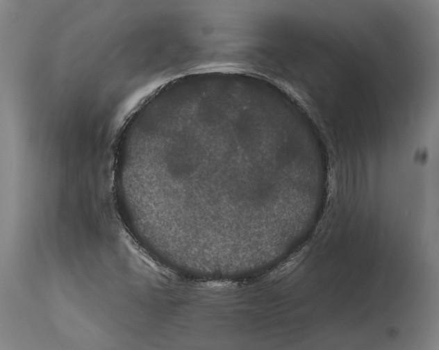 X0000114641406200911101248