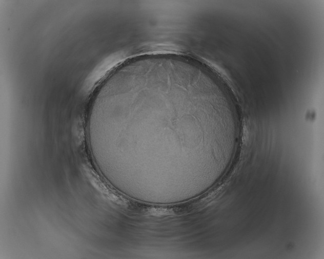 X0000114641407200911101248