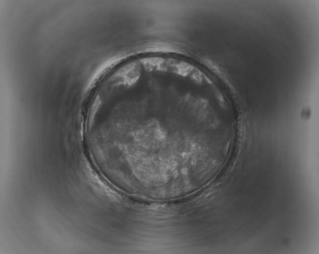 X0000114641408200911101248