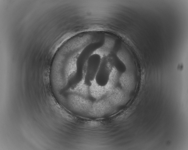 X0000114641409200911101248