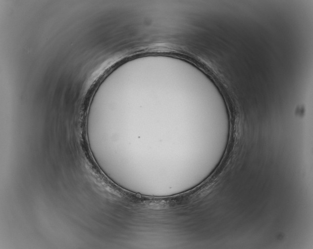 X0000114641410200911101248