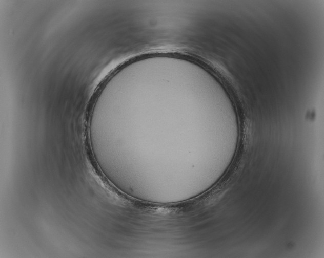 X0000114641412200911101248