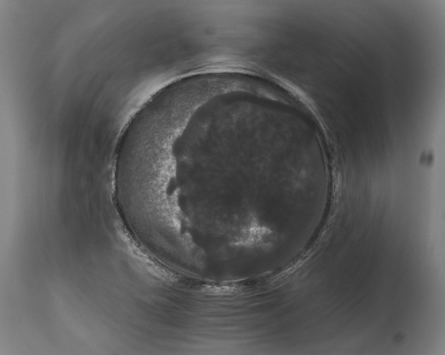 X0000114641415200911101248