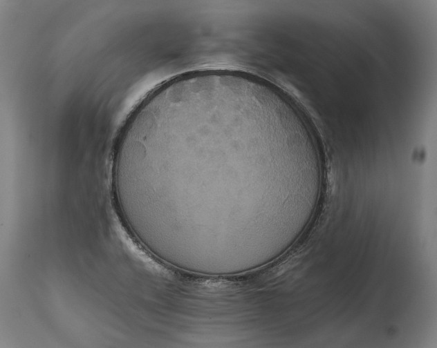 X0000114641416200911101248