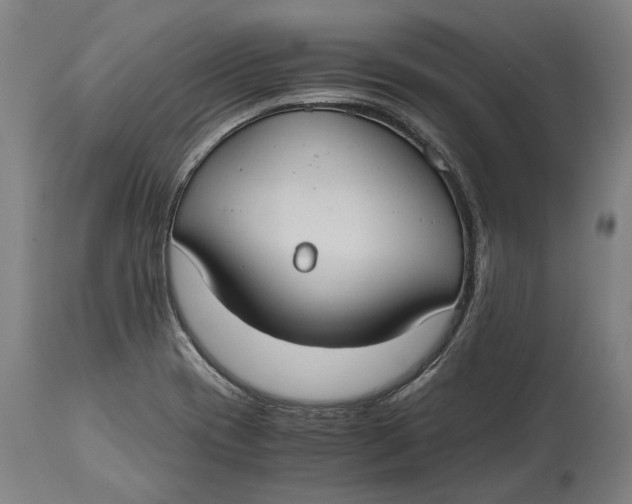 X0000114641417200911101248