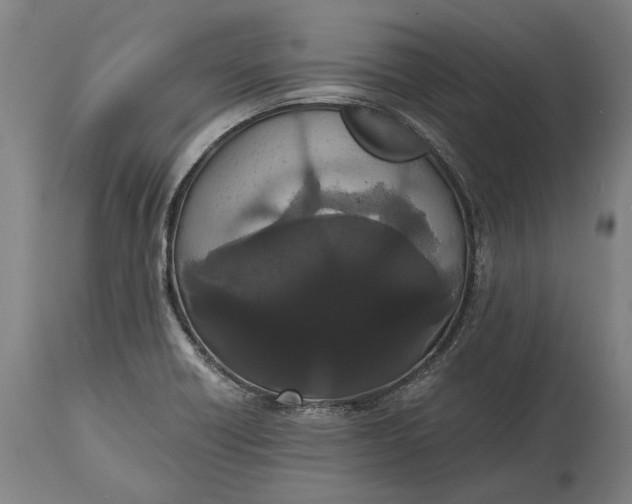 X0000114641418200911101248