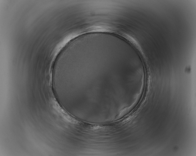 X0000114641419200911101248