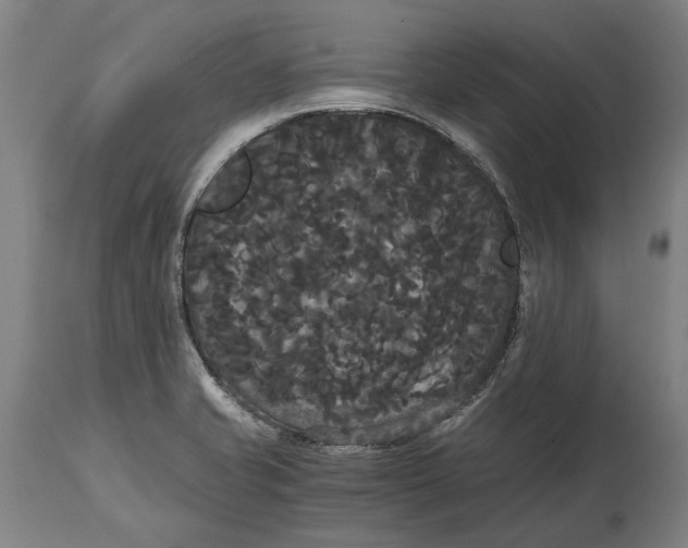 X0000114641421200911101248