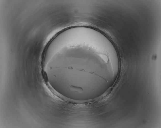 X0000114641422200911101248