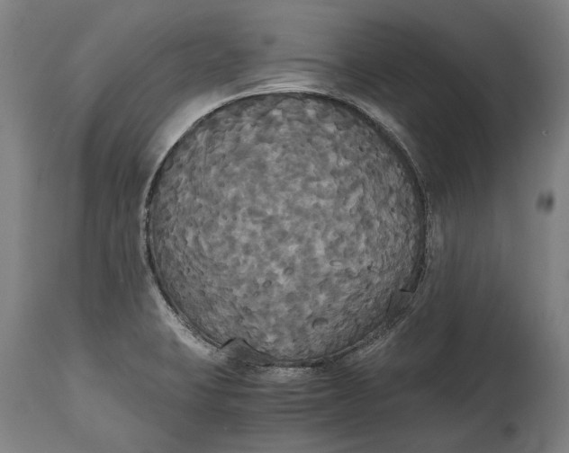 X0000114641423200911101248