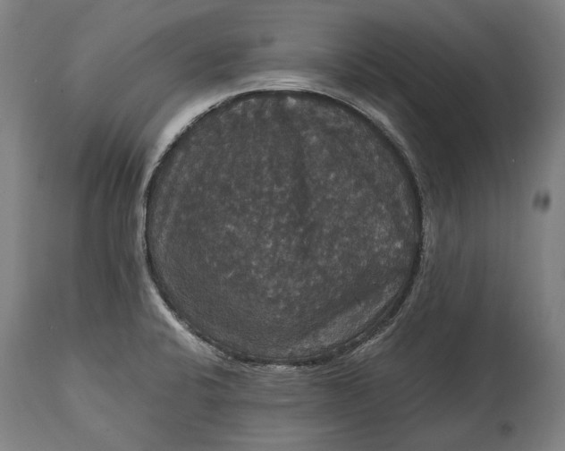 X0000114641424200911101248