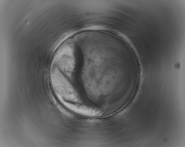 X0000114641425200911101248