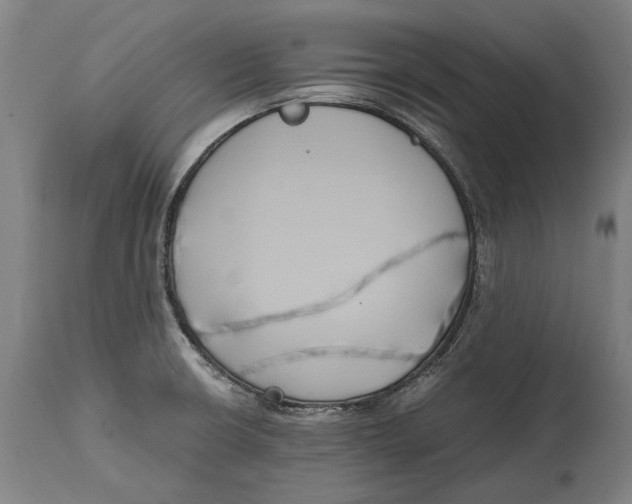 X0000114641426200911101248