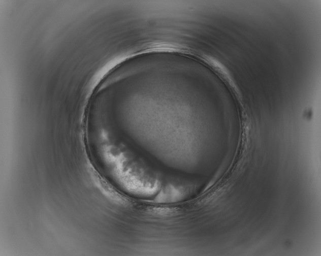 X0000114641427200911101248