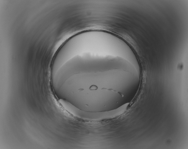 X0000114641428200911101248
