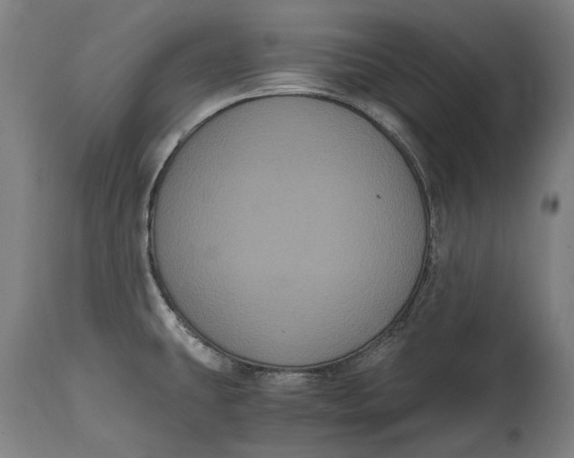 X0000114641431200911101248