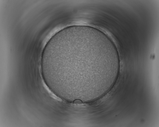 X0000114641432200911101248