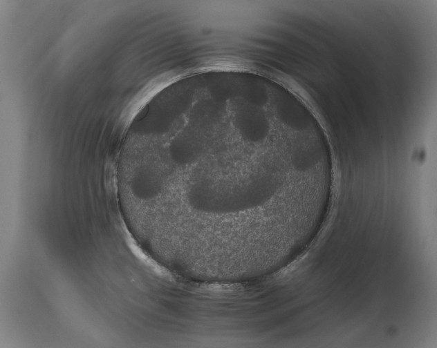 X0000114641433200911101248