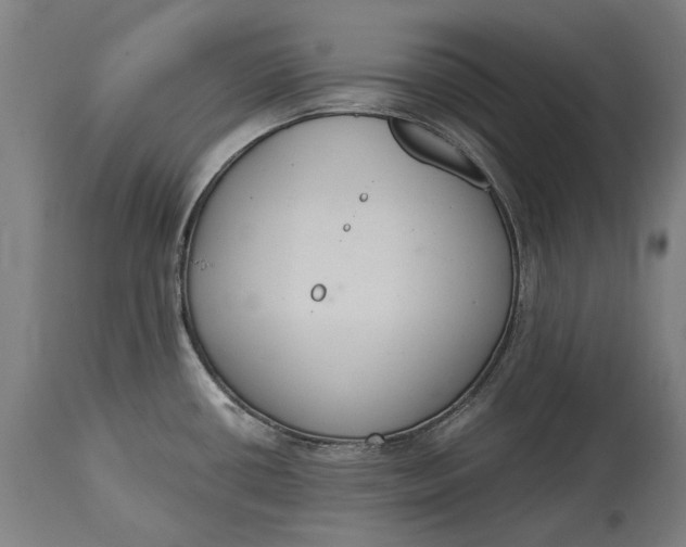 X0000114641434200911101248