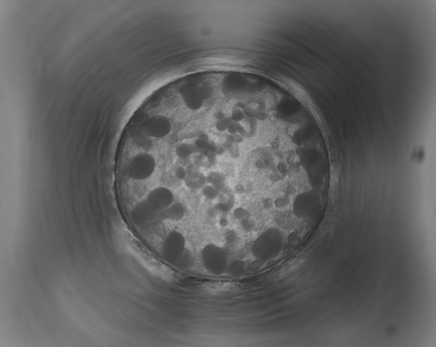 X0000114641435200911101248
