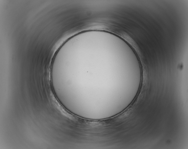 X0000114641436200911101248
