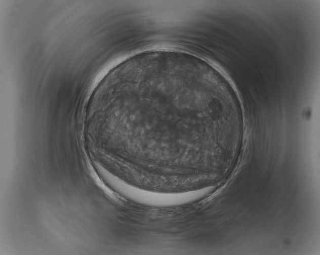 X0000114641437200911101248