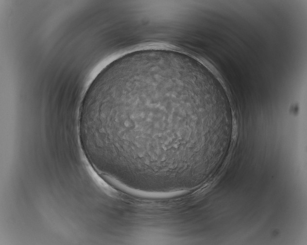 X0000114641438200911101248