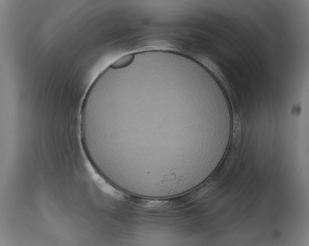 X0000114641439200911101249