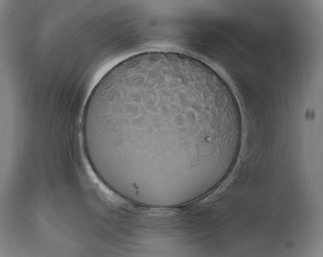 X0000114641440200911101249