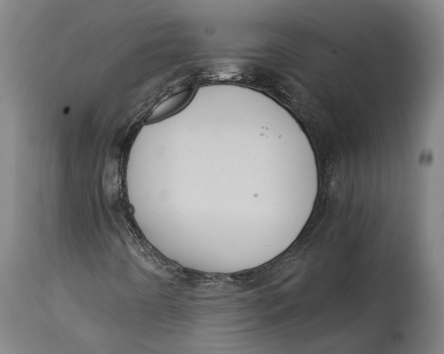 X0000114641442200911101248
