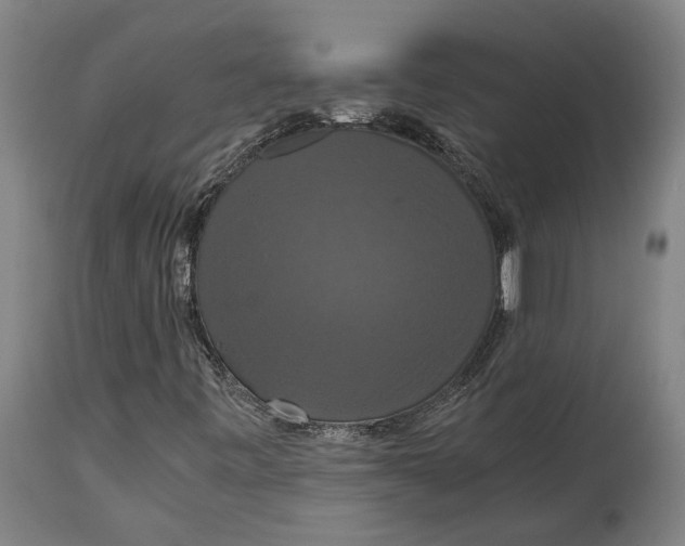 X0000114641443200911101248
