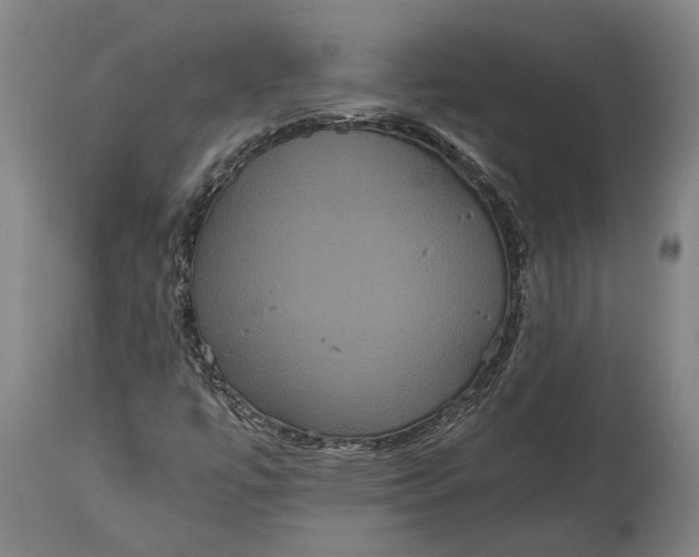 X0000114641447200911101248