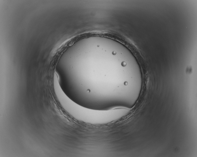 X0000114641448200911101248