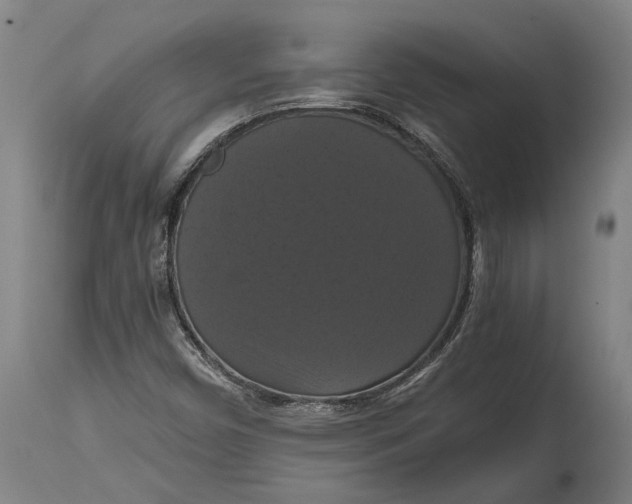 X0000114641450200911101248