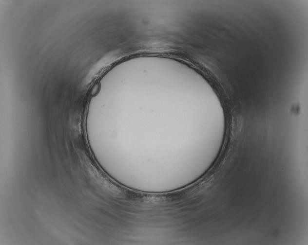 X0000114641451200911101248