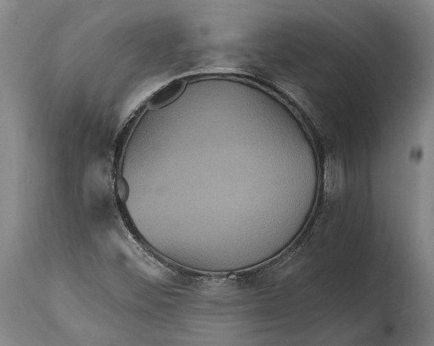 X0000114641452200911101248