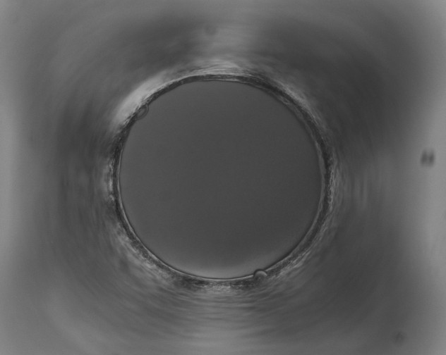 X0000114641455200911101248