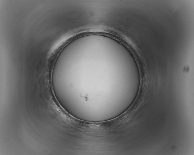 X0000114641456200911101248