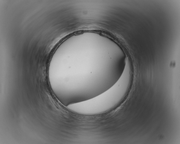X0000114641457200911101248