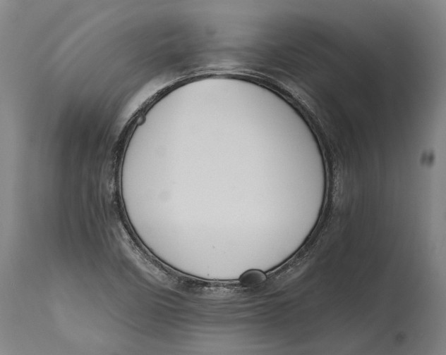 X0000114641458200911101248