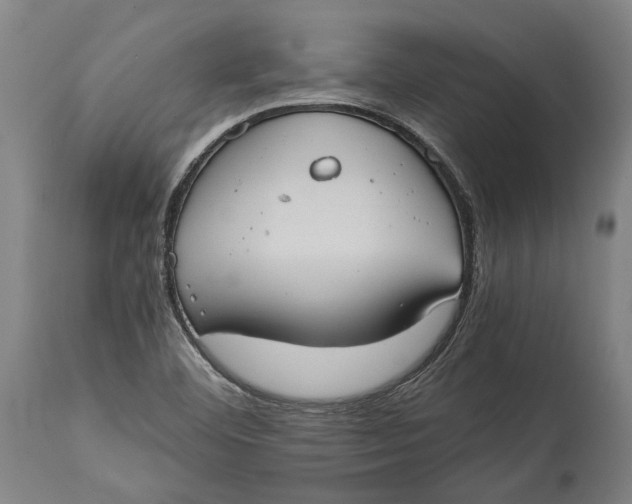 X0000114641460200911101248