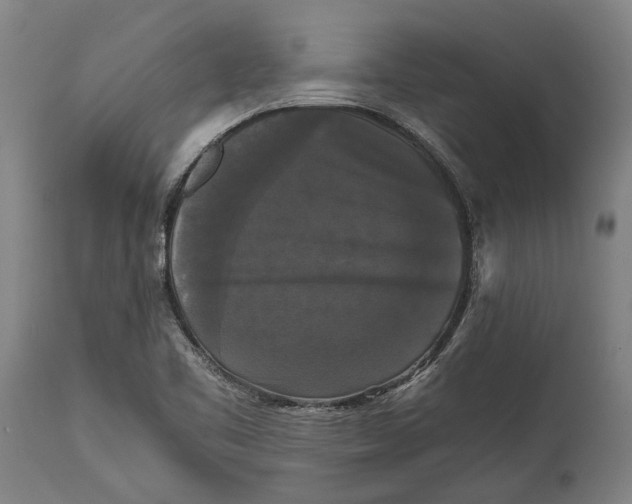X0000114641461200911101248