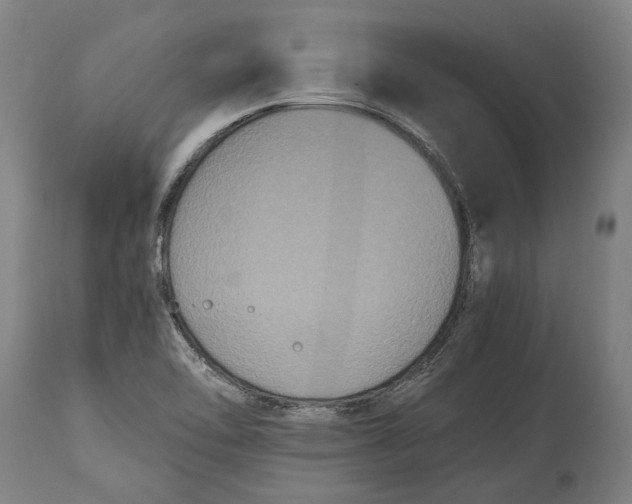 X0000114641462200911101248