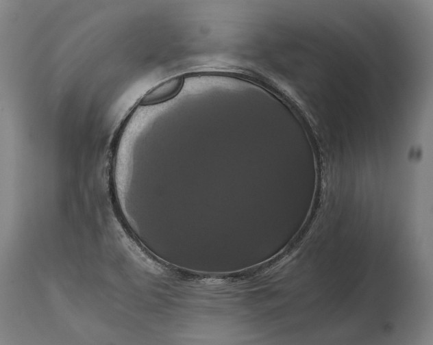 X0000114641463200911101248